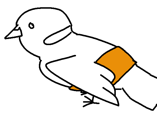 Drawing of a little dove with a bandage